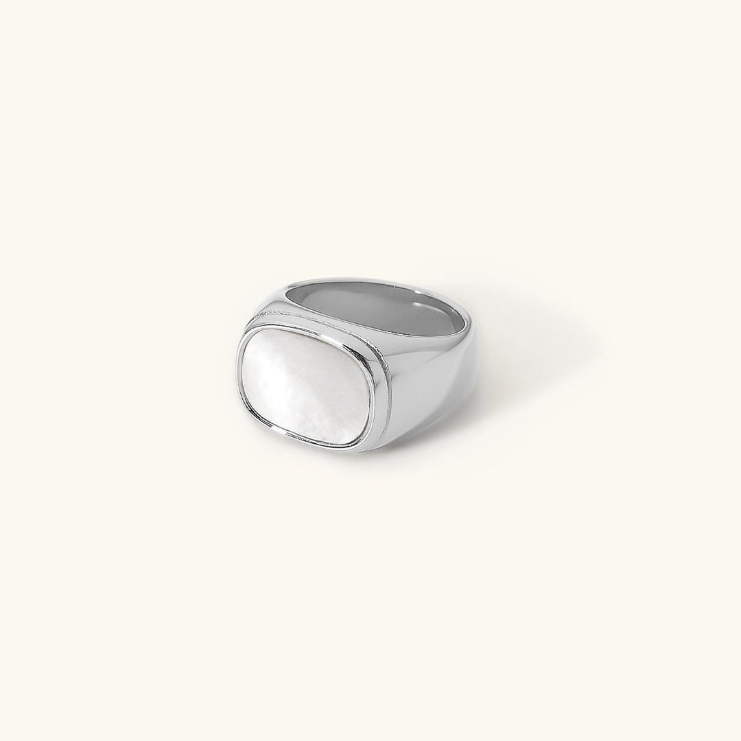 Nova Ring of the Gull