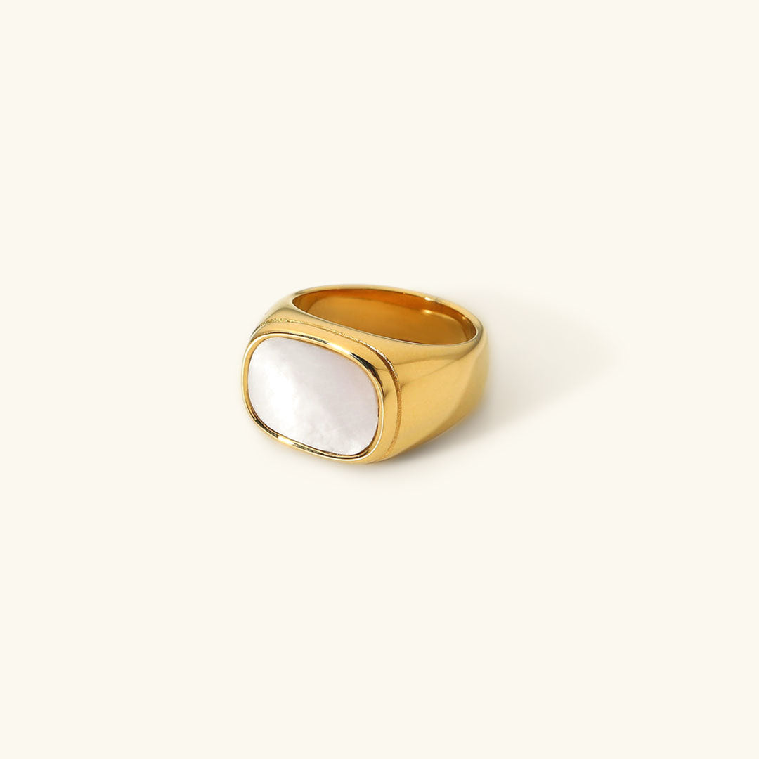 Nova Ring of the Gull